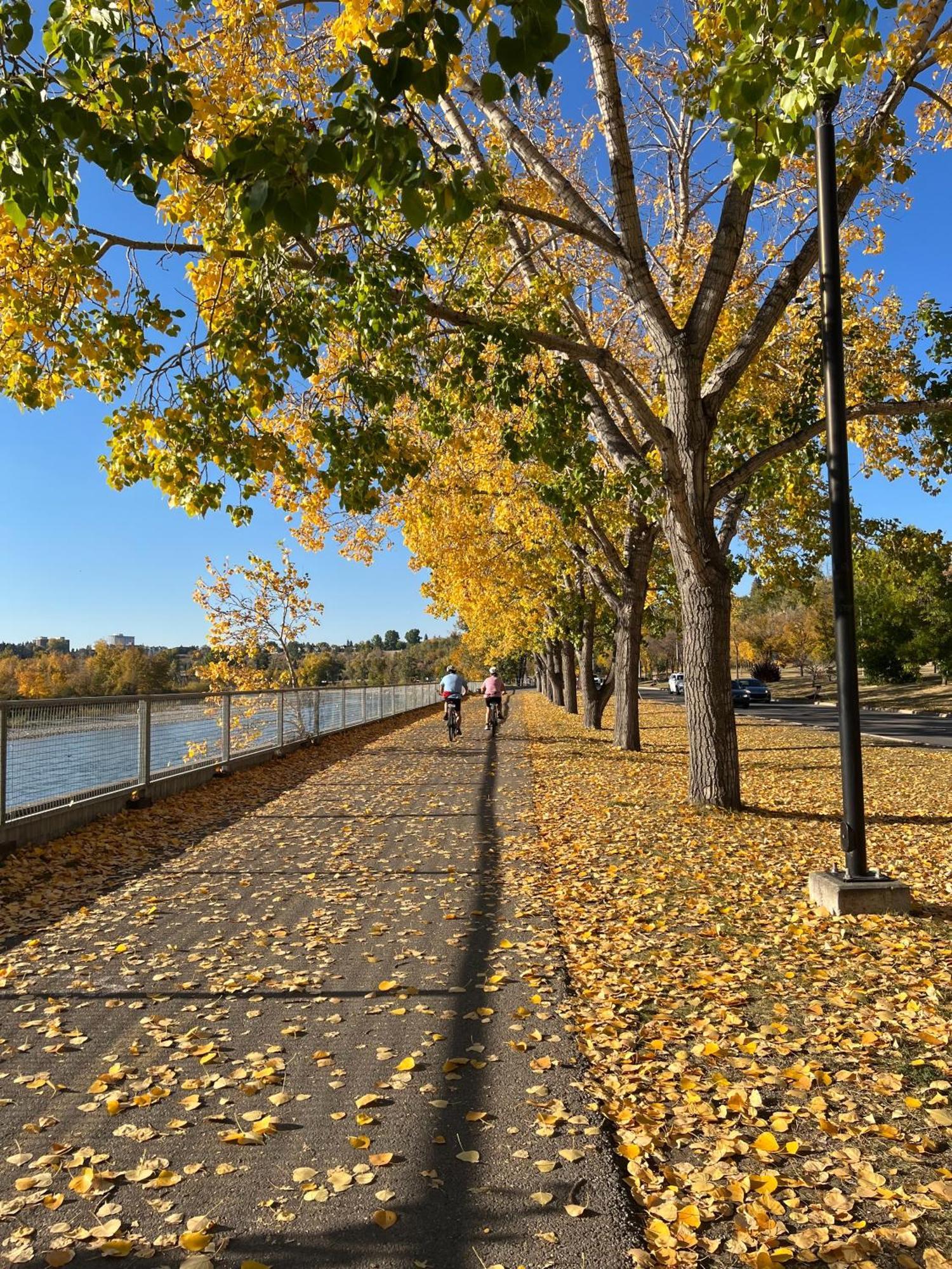 City Centre Confederation Park Away From *